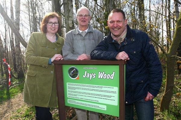 jays wood