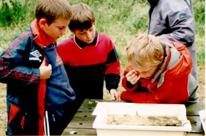 Children on a school trip